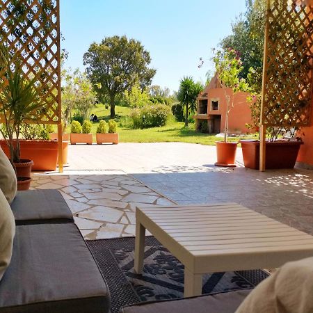 סיניסקולה Home Garden מראה חיצוני תמונה