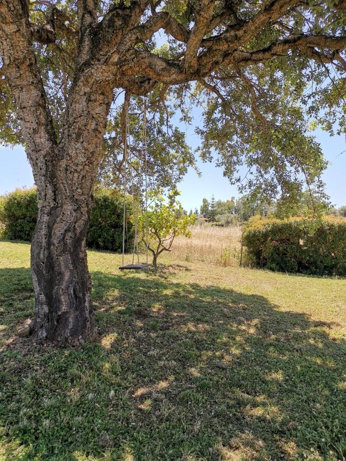 סיניסקולה Home Garden מראה חיצוני תמונה