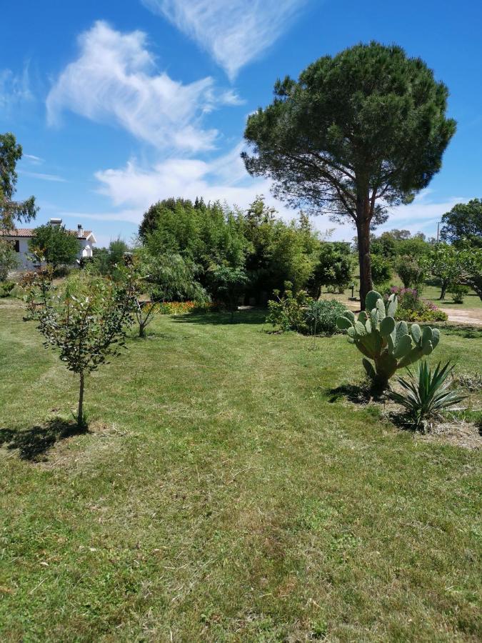 סיניסקולה Home Garden מראה חיצוני תמונה