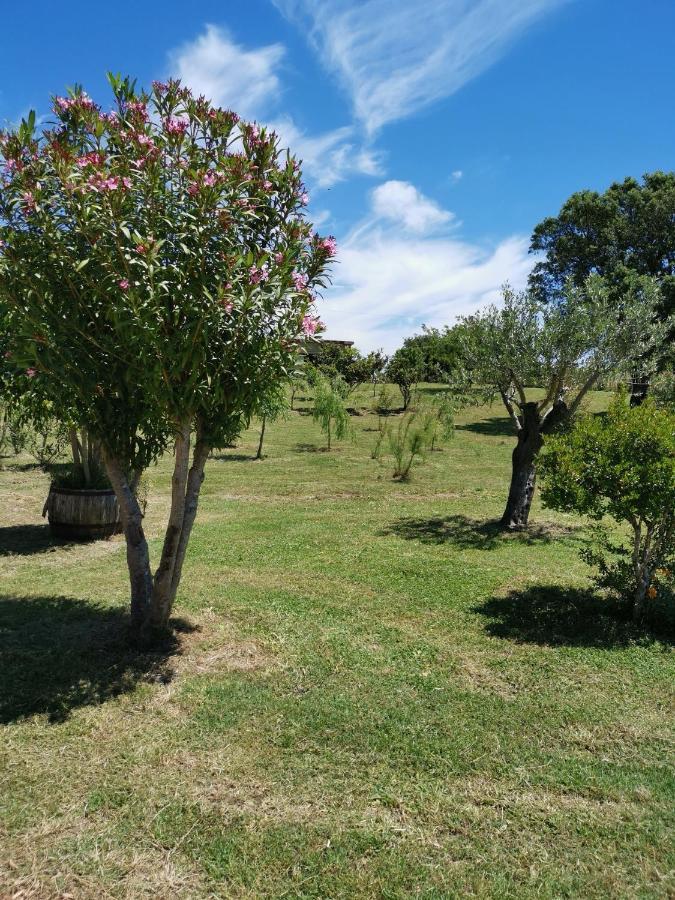 סיניסקולה Home Garden מראה חיצוני תמונה