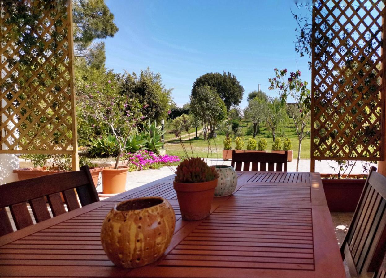סיניסקולה Home Garden מראה חיצוני תמונה