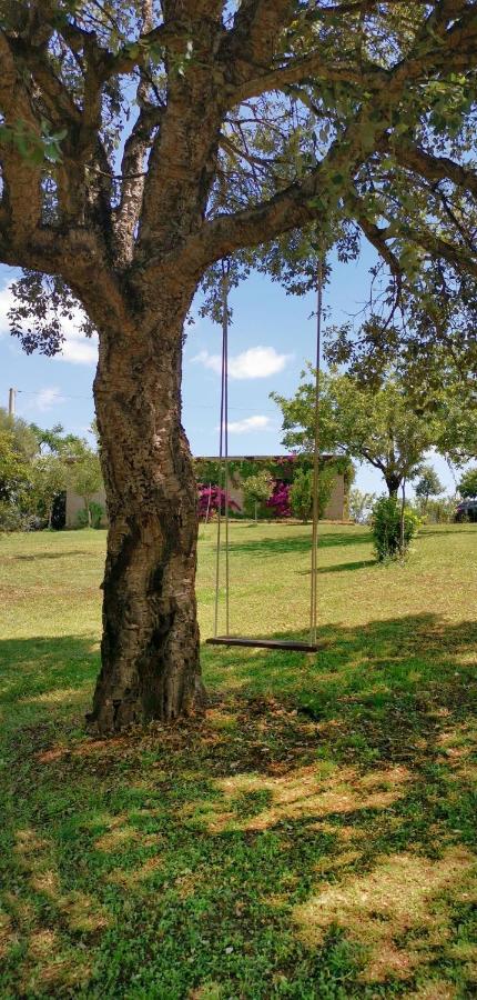 סיניסקולה Home Garden מראה חיצוני תמונה