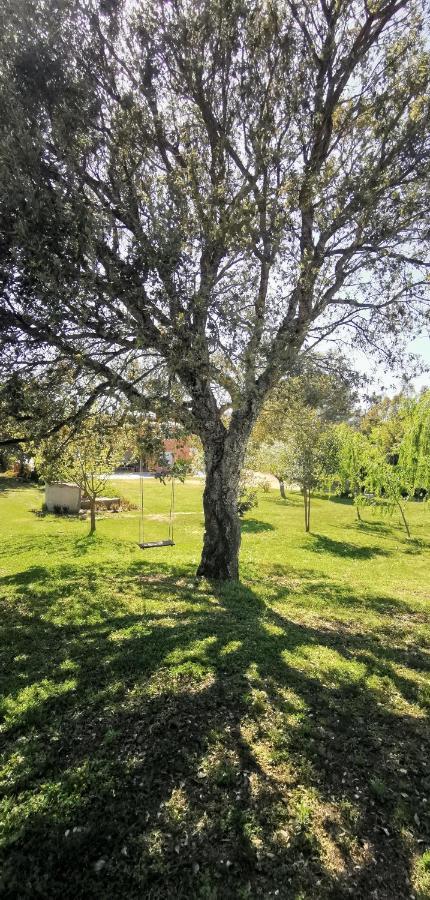 סיניסקולה Home Garden מראה חיצוני תמונה