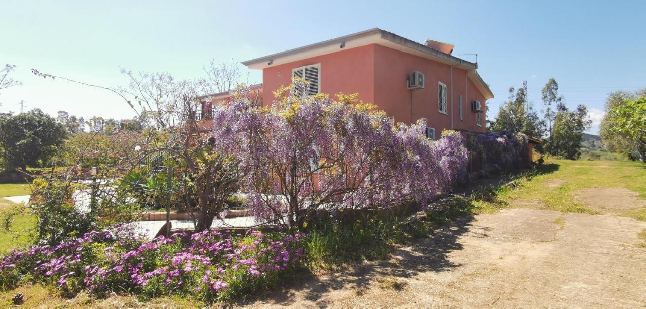 סיניסקולה Home Garden מראה חיצוני תמונה