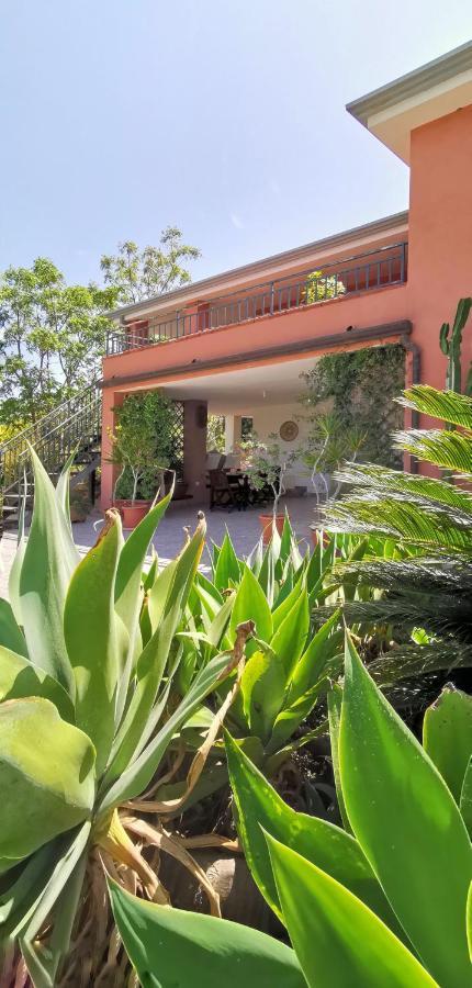 סיניסקולה Home Garden מראה חיצוני תמונה