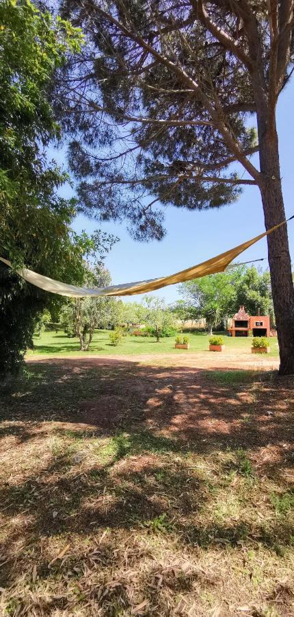 סיניסקולה Home Garden מראה חיצוני תמונה