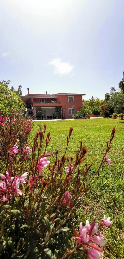 סיניסקולה Home Garden מראה חיצוני תמונה